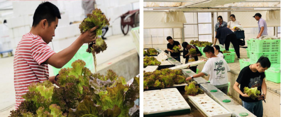 MZZ8}5NUO5P{L%(UCL%(NWB.png MZZ8}5NUO5P{L%(UCL%(NWB.png