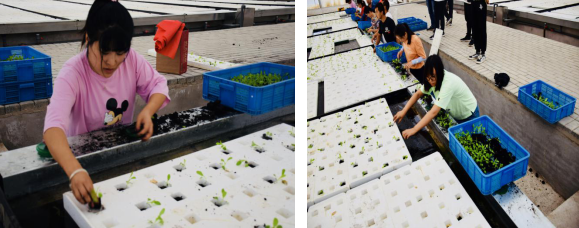 1597027580(1).png 1597027580(1).png