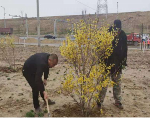 图片3.png 图片3.png