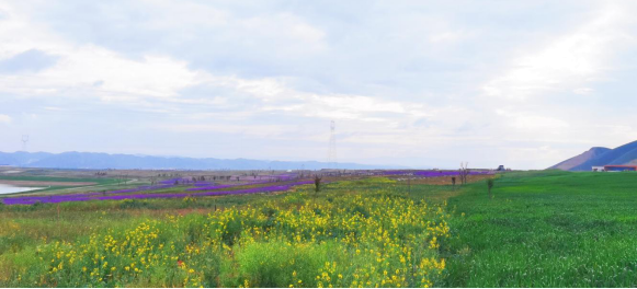 图片5.png 图片5.png