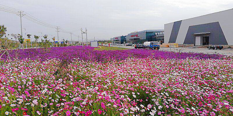 图片6.png 图片6.png