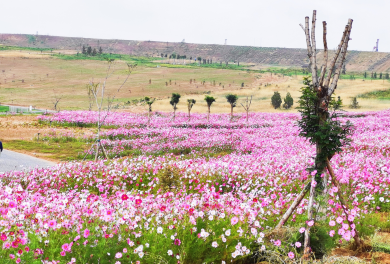 图片7.png 图片7.png