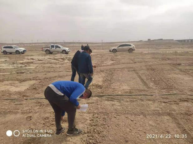 图片3.png 图片3.png