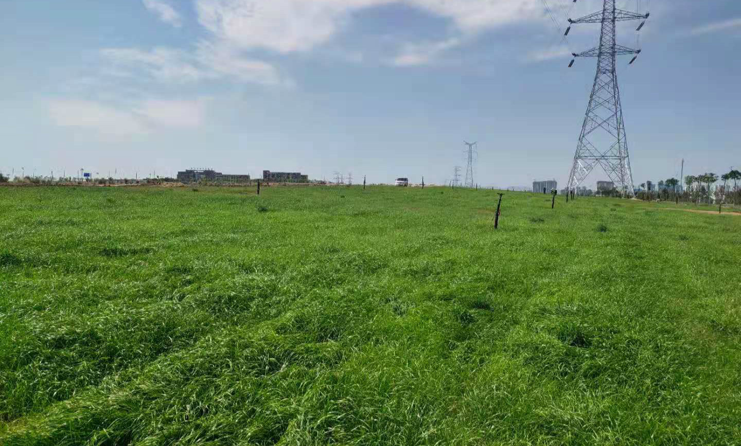 f0e6529e0f995e3b56abbc472bac62b_meitu_4.jpg f0e6529e0f995e3b56abbc472bac62b_meitu_4.jpg