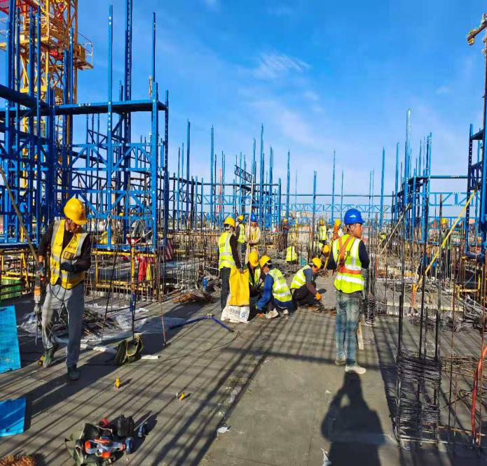 图片1.png 图片1.png