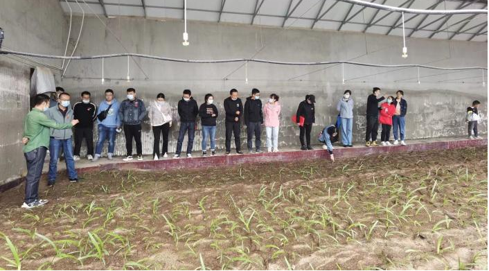 图片5.png 图片5.png