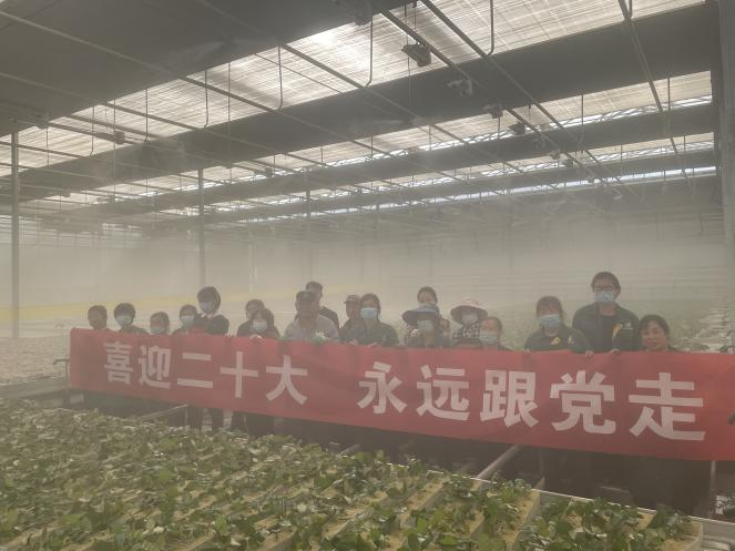 图片8.png 图片8.png