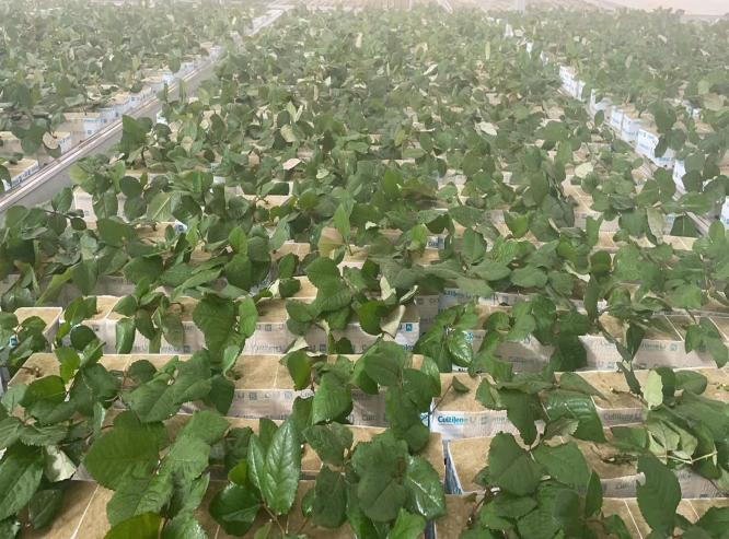 图片9.png 图片9.png